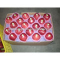 Red delicious apple/Huaniu apple/Red christmas apples